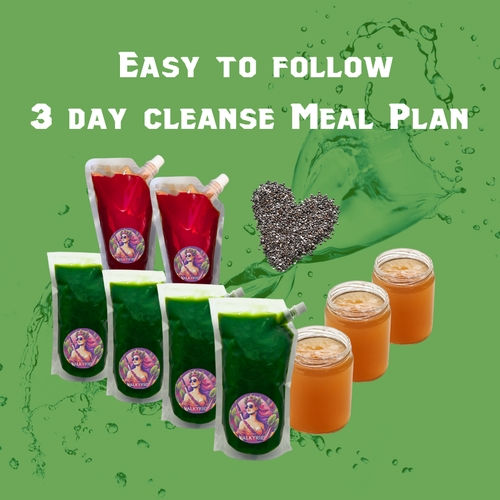 3 day cleanse easy to follow meal plan