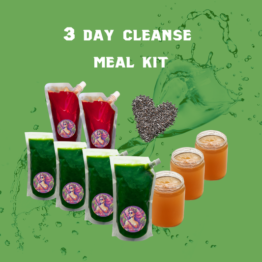 3 Day Juice Cleanse Meal Kit